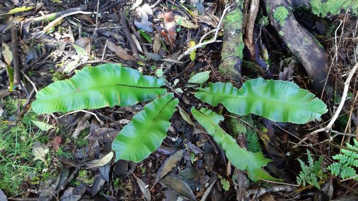 &copy; Rui Bento Elias