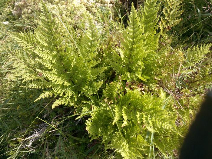 &copy; Rui Bento Elias