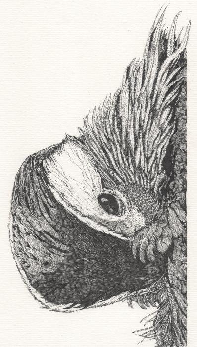 Ilustração / © João Pedro Barreiros