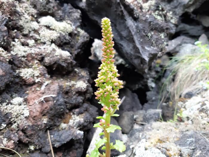 &copy; Rui Bento Elias