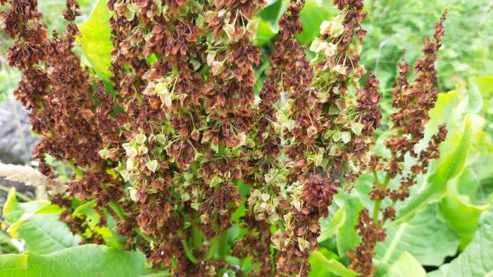 &copy; Rui Bento Elias