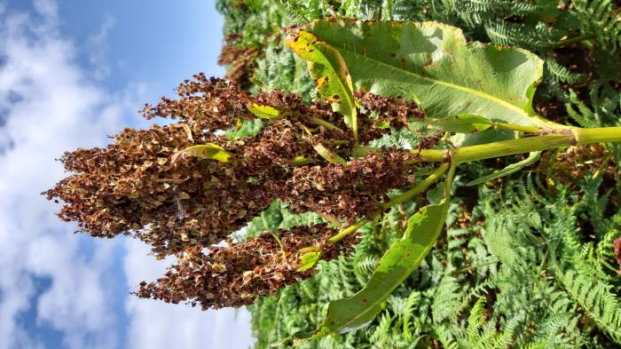 &copy; Rui Bento Elias