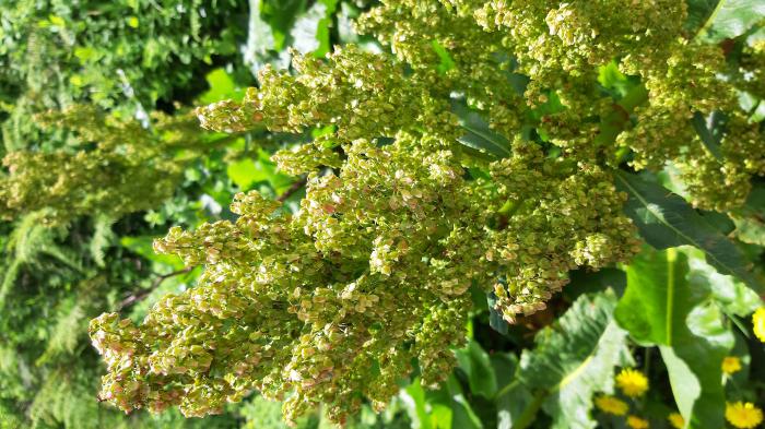 &copy; Rui Bento Elias