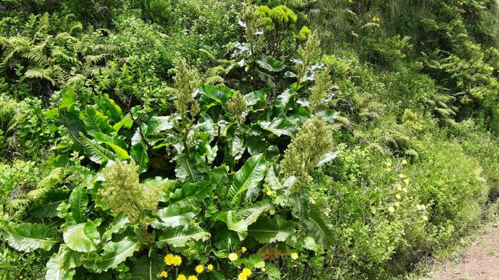 &copy; Rui Bento Elias