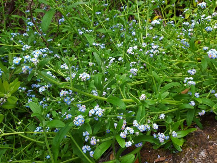 &copy; Rui Bento Elias