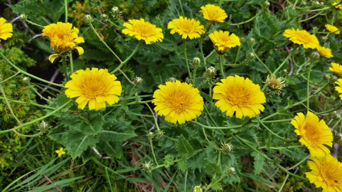 &copy; Rui Bento Elias