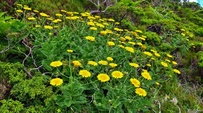 &copy; Rui Bento Elias