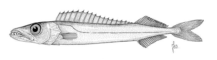 Ilustração / &copy; Leslie Galagher