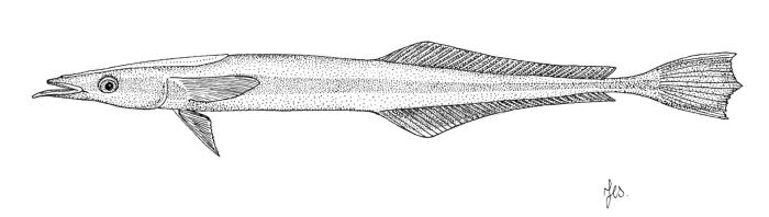 Ilustração / © Leslie Galagher