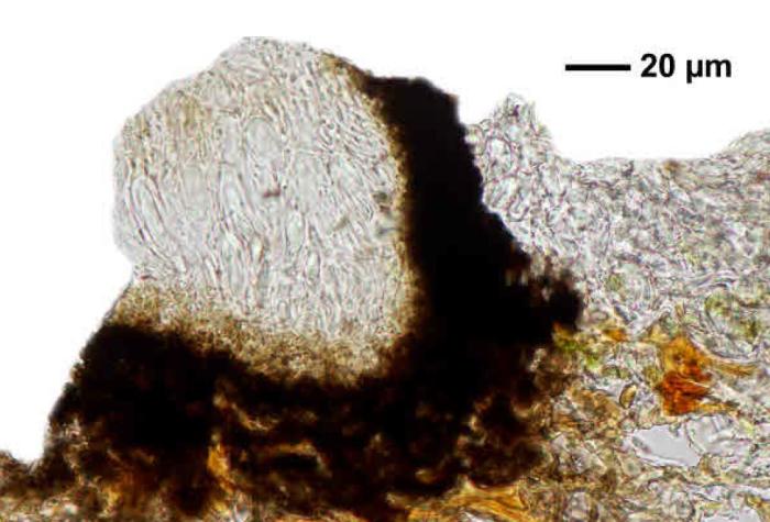 Unusual form / © Felix Schumm