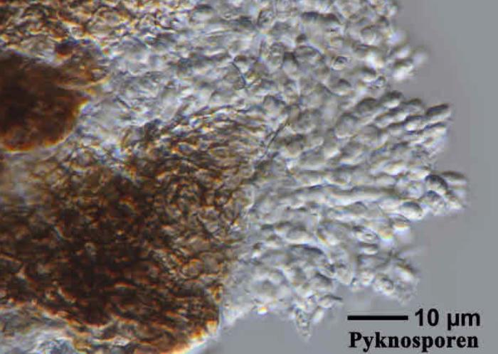 Unusual form / © Felix Schumm