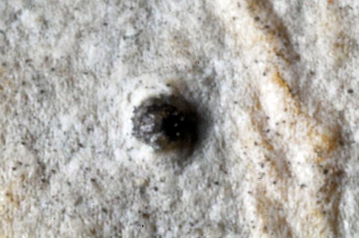 © Domenico Puntillo