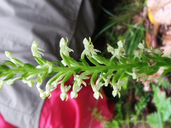 &copy; Rui Bento Elias