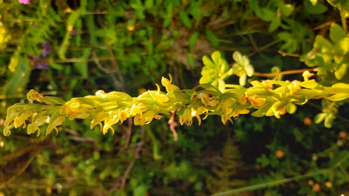 &copy; Rui Bento Elias