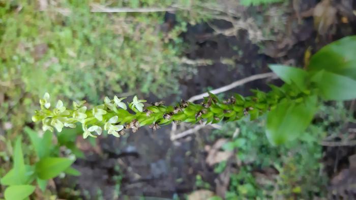 &copy; Rui Bento Elias