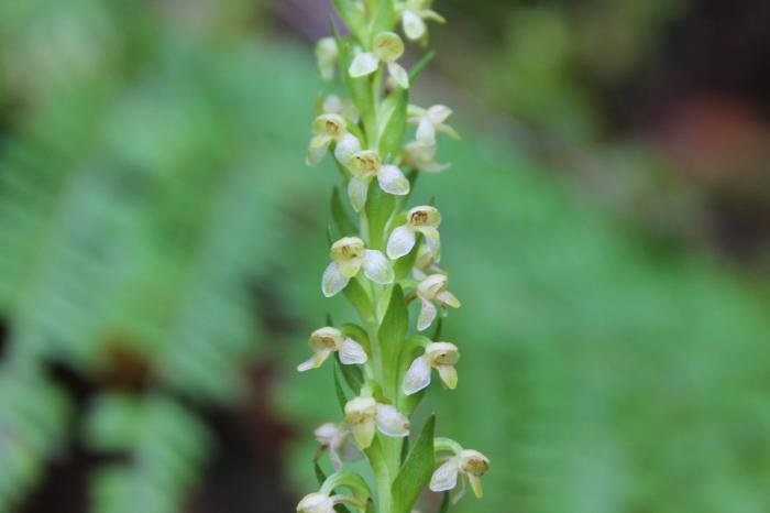 &copy; Rui Bento Elias