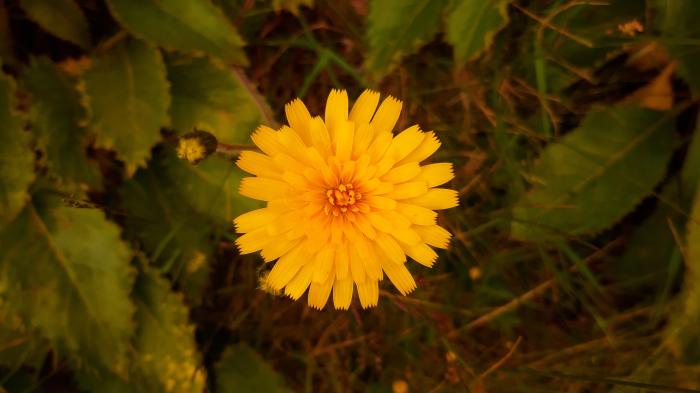 &copy; Rui Bento Elias