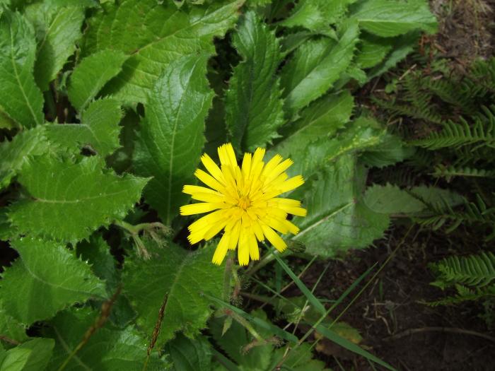 &copy; Rui Bento Elias