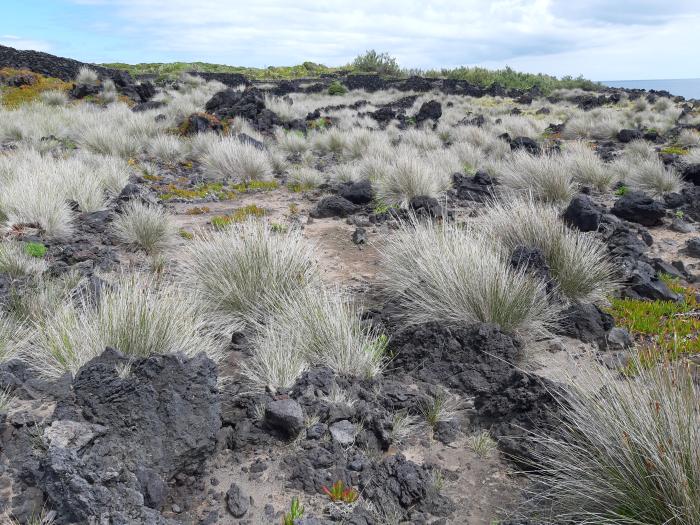 &copy; Rui Bento Elias