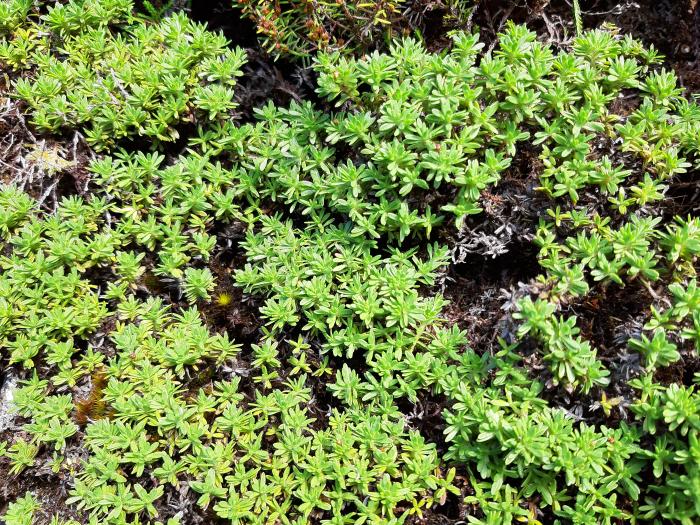 &copy; Rui Bento Elias