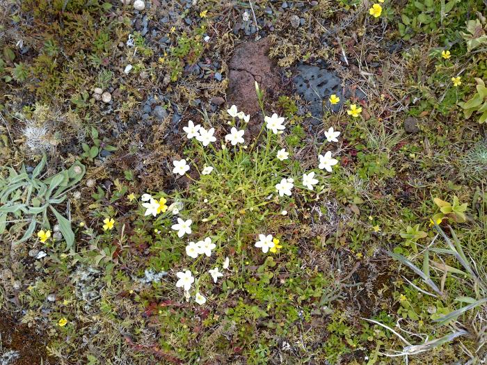 &copy; Rui Bento Elias