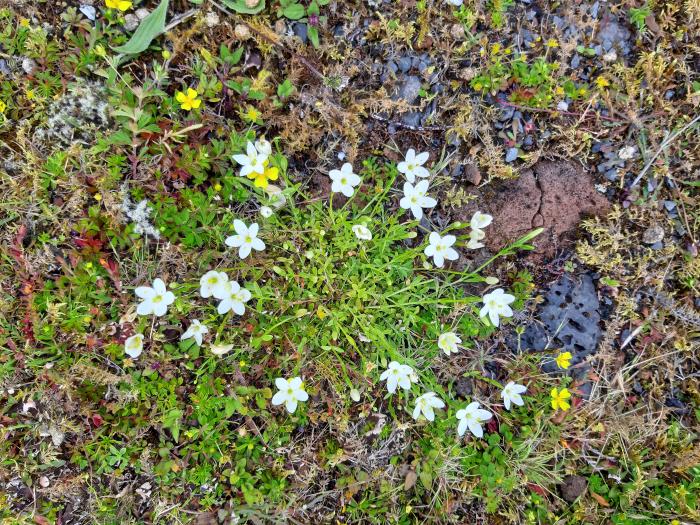 &copy; Rui Bento Elias