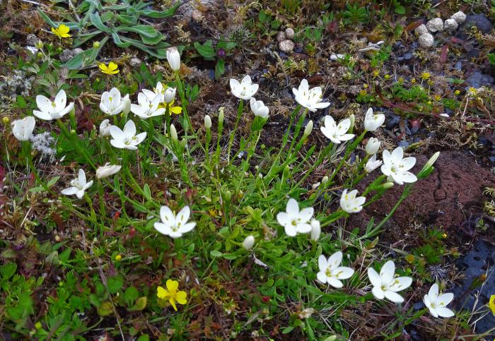 &copy; Rui Bento Elias