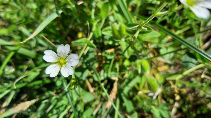 &copy; Rui Bento Elias