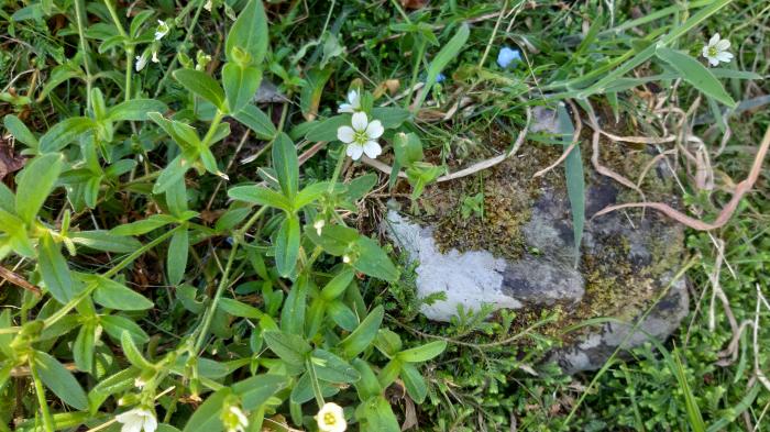 &copy; Rui Bento Elias