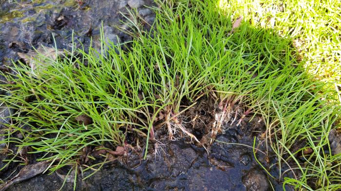 &copy; Rui Bento Elias