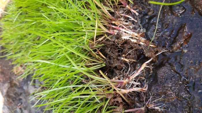 &copy; Rui Bento Elias