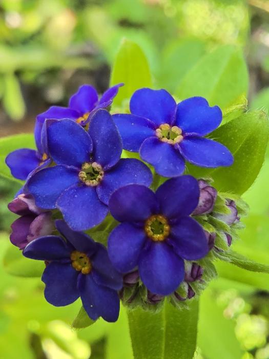 &copy; Mariana A. Sousa