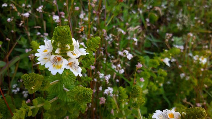 &copy; Rui Bento Elias