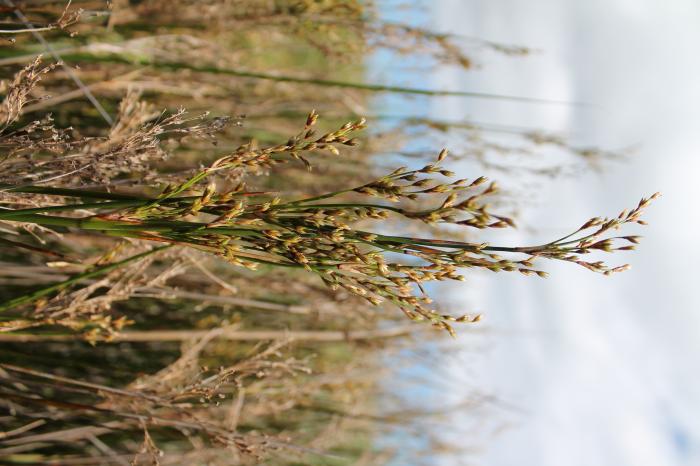 &copy; Rui Bento Elias