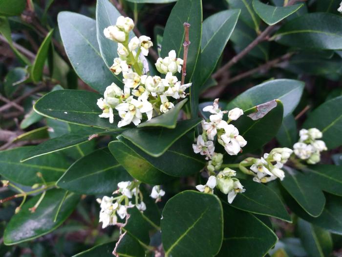 &copy; Rui Bento Elias