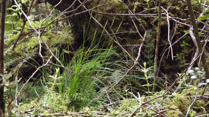 &copy; Fernando Pereira