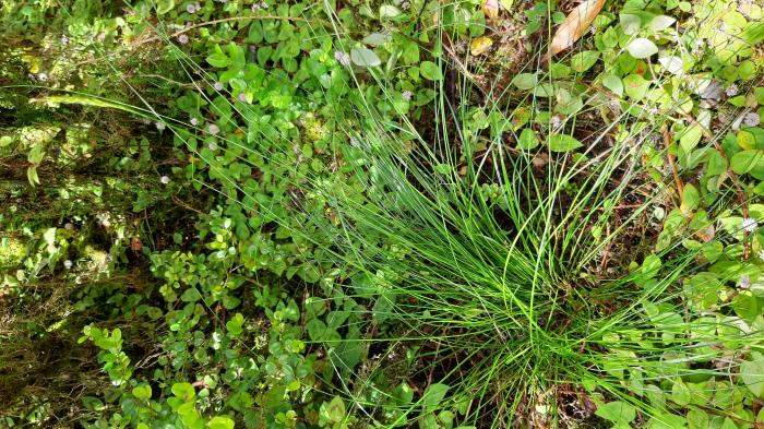 &copy; Rui Bento Elias