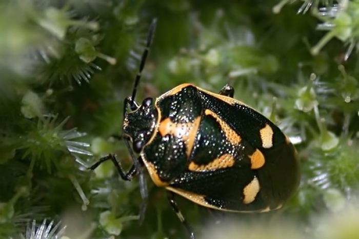 © J. M. Michalowski