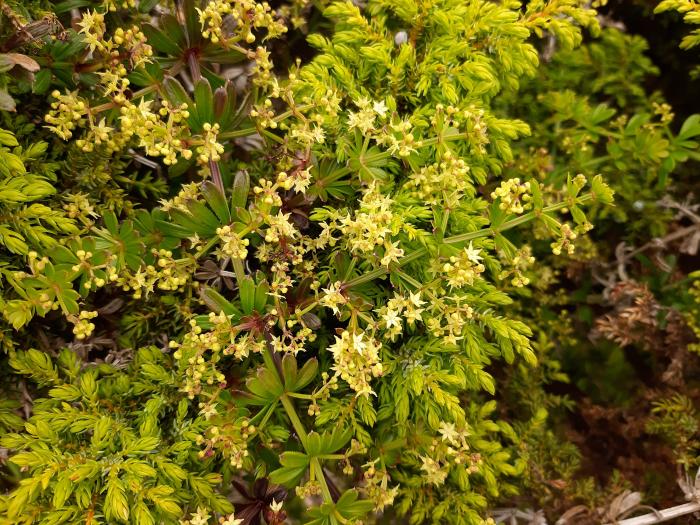 &copy; Rui Bento Elias