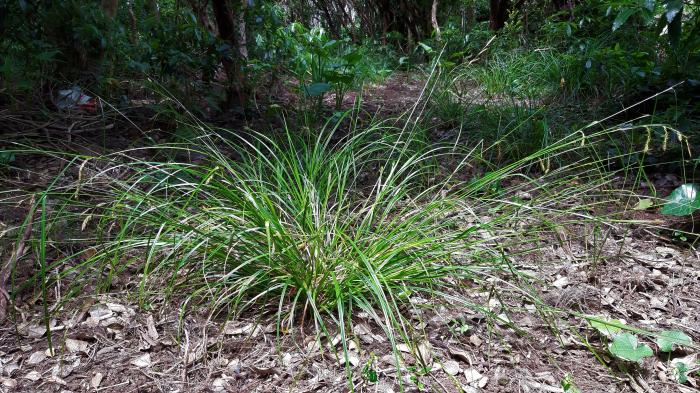 &copy; Rui Bento Elias