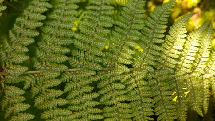 &copy; Rui Bento Elias