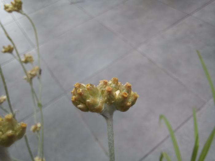 &copy; Rui Bento Elias