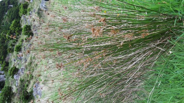 &copy; Rui Bento Elias