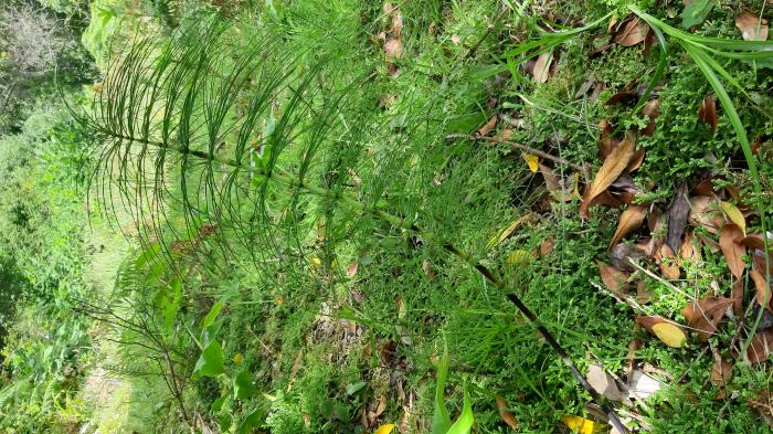 &copy; Rui Bento Elias