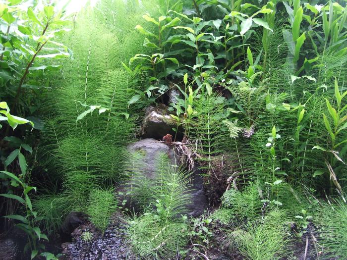 &copy; Rui Bento Elias